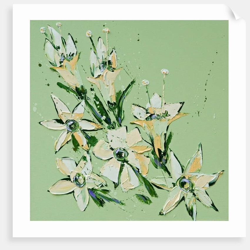 Flower, 2008 by Penny Warden