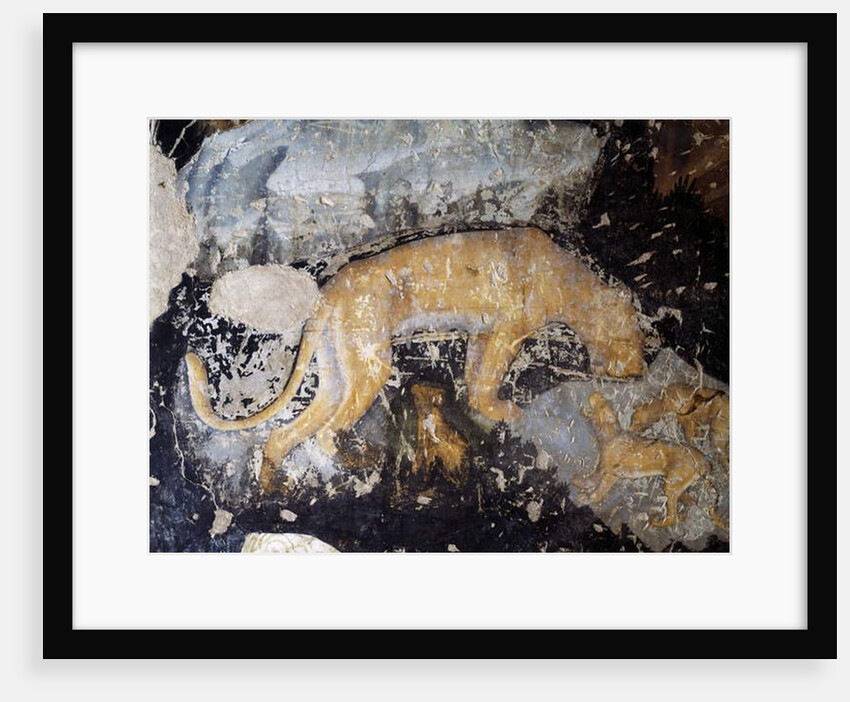 Dog, detail by Antonio Pisanello