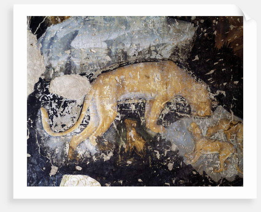 Dog, detail by Antonio Pisanello