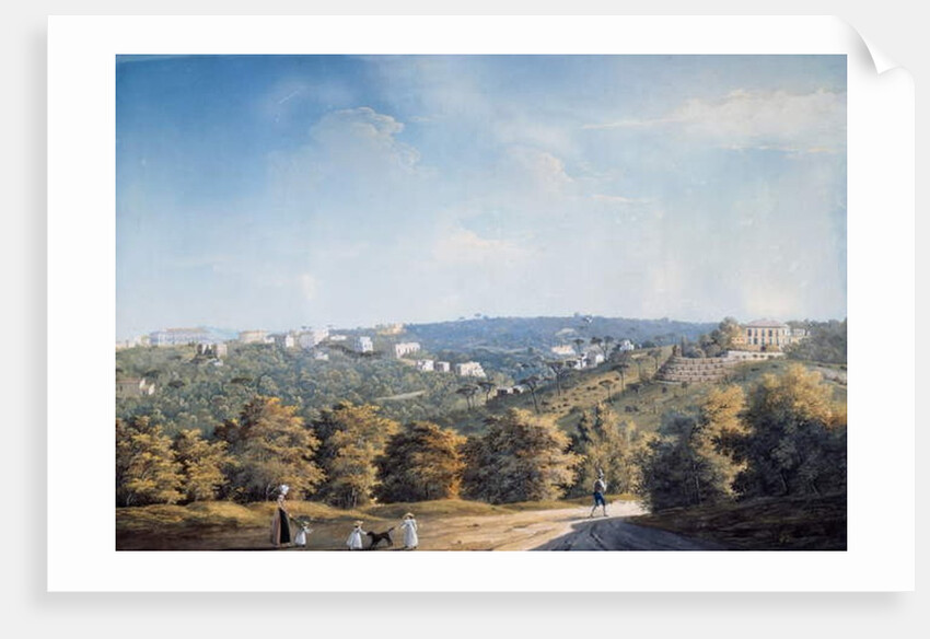Capodimonte hill and villas along Ponti Rossi road by Luigi Fergola