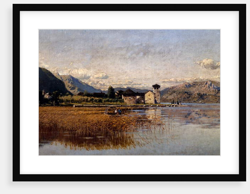 Lake Mezzola by Guido Ricci