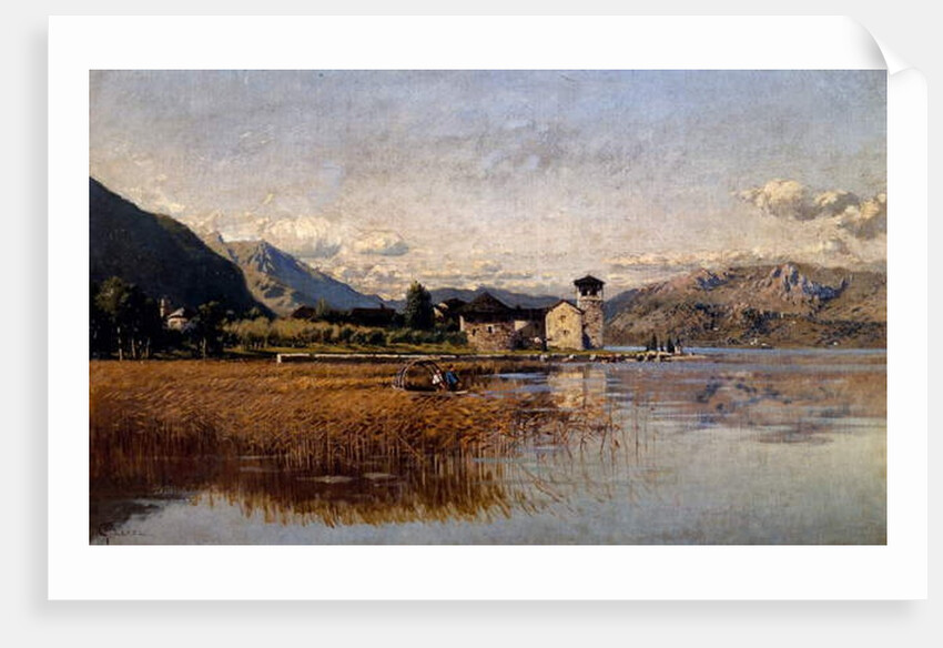 Lake Mezzola by Guido Ricci