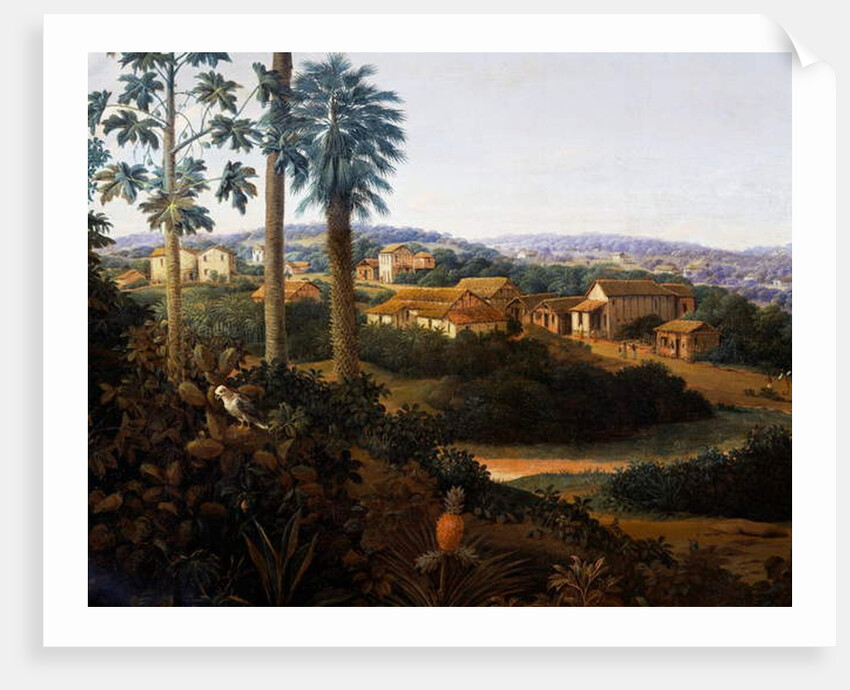 Serinhaem village in Brazil or The home of a sugar cane planter in Brazil by Frans Jansz Post