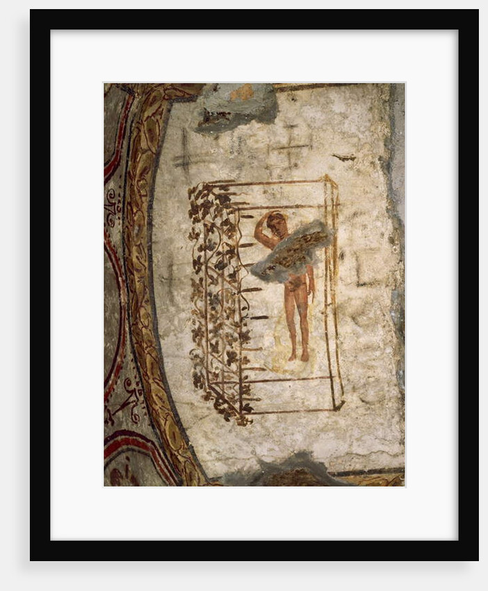 Youth, trellis and vines, 3rd-5th century AD by Roman Roman