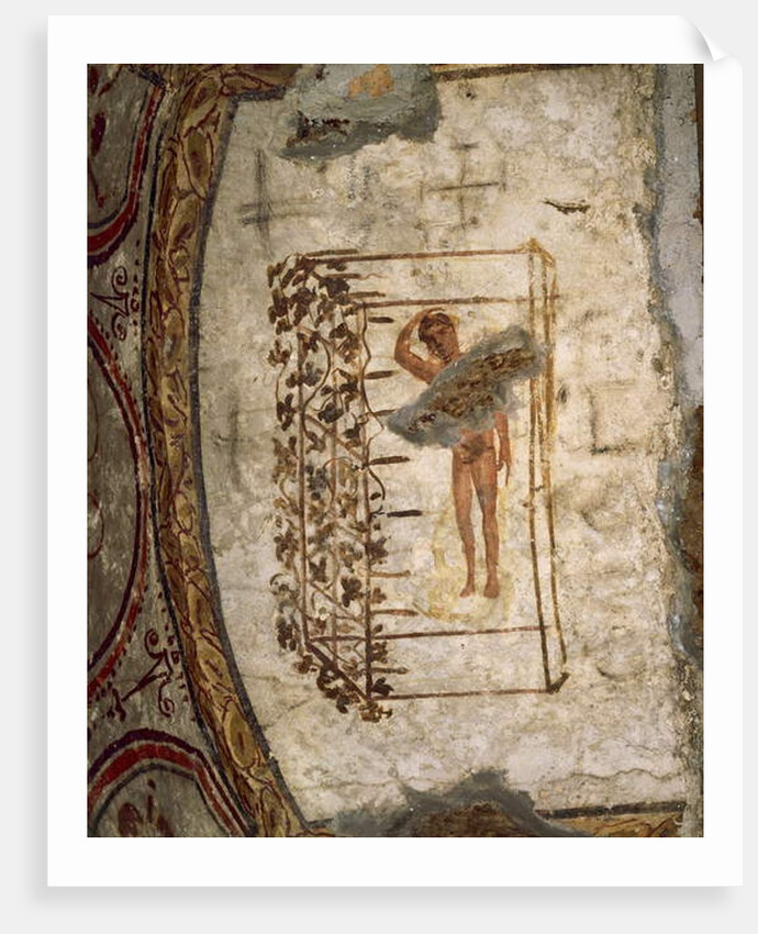 Youth, trellis and vines, 3rd-5th century AD by Roman Roman