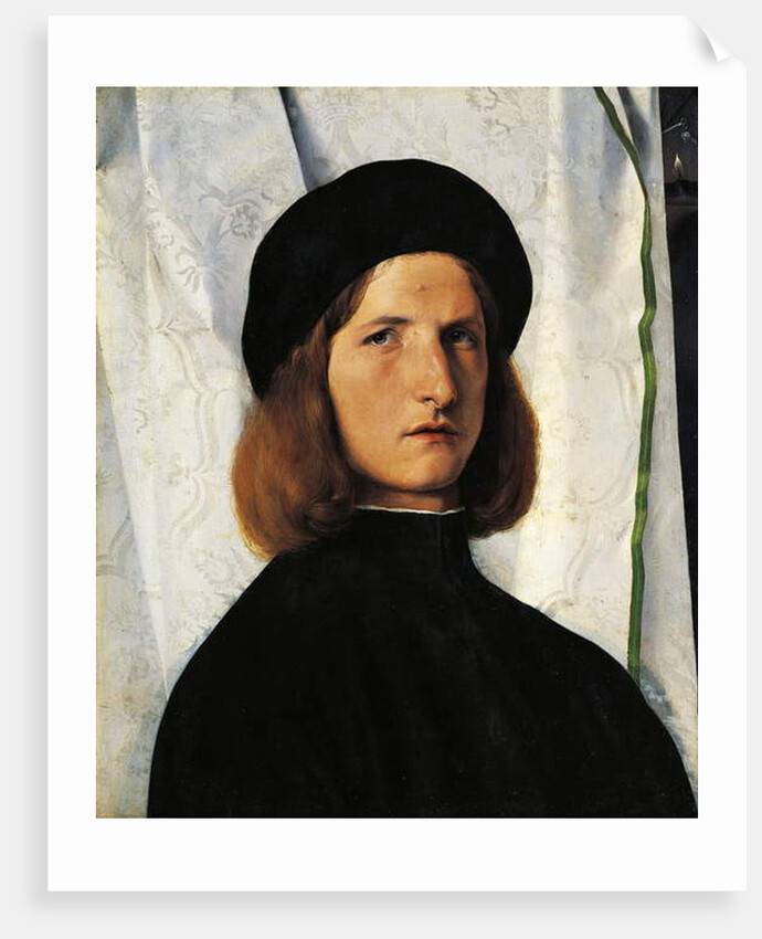 Portrait of young man with lamp, 1508 by Lorenzo Lotto
