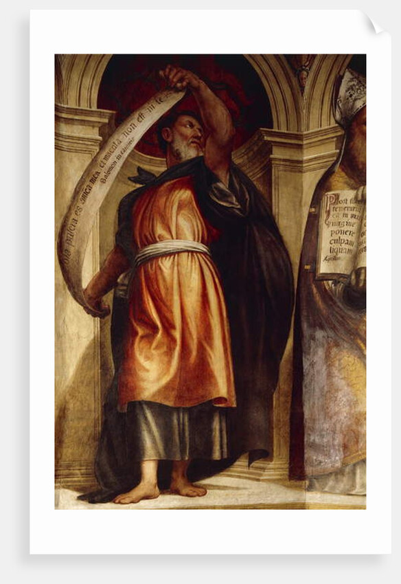 Solomon, Church of Annunciation, St. Anne's Chapel, Cortemaggiore, Italy by Giovanni Antonio Pordenone