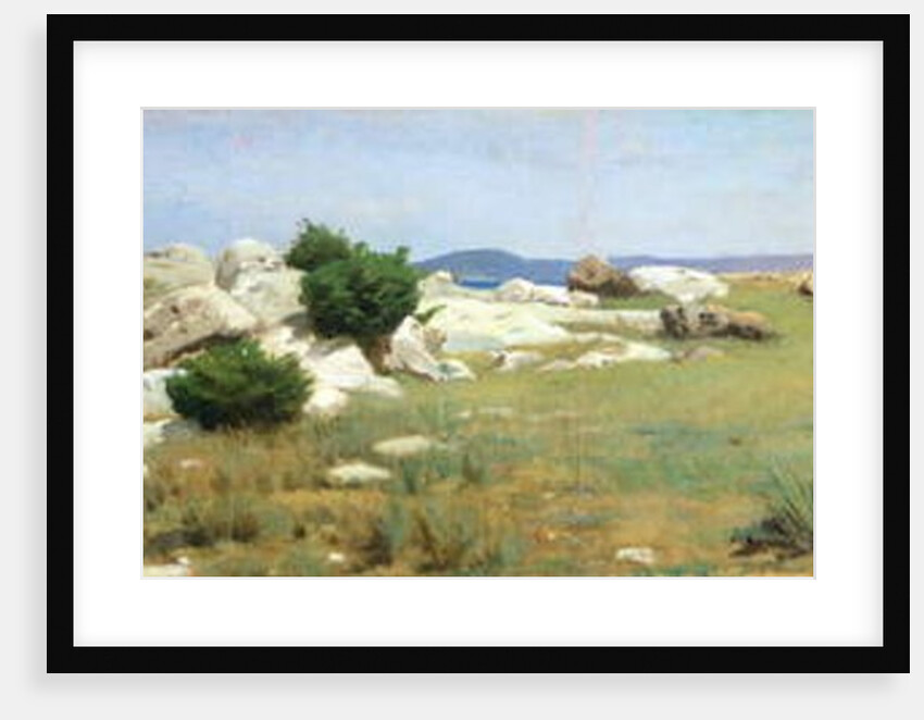 Cliff at Castiglioncello by Raffaello Sernesi