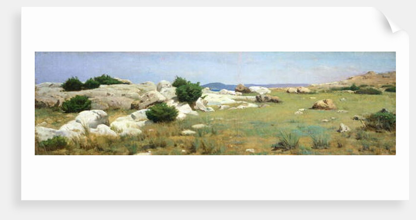 Cliff at Castiglioncello by Raffaello Sernesi