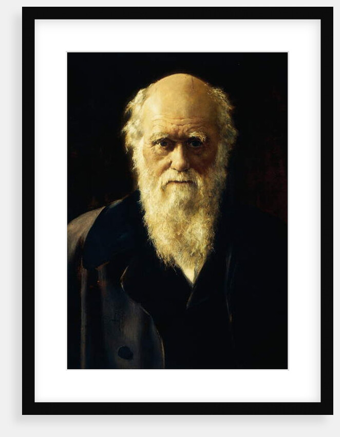 Portrait of Charles Darwin, 1883 by John Collier