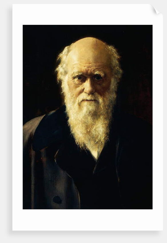 Portrait of Charles Darwin, 1883 by John Collier