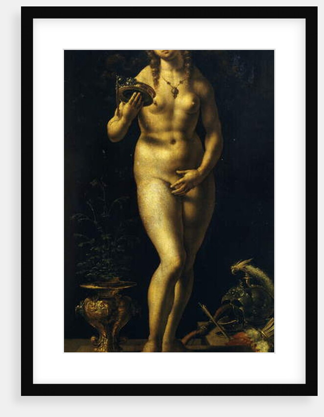 Venus by Jan Gossaert