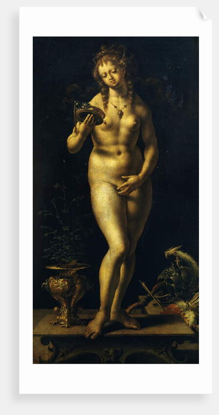 Venus by Jan Gossaert