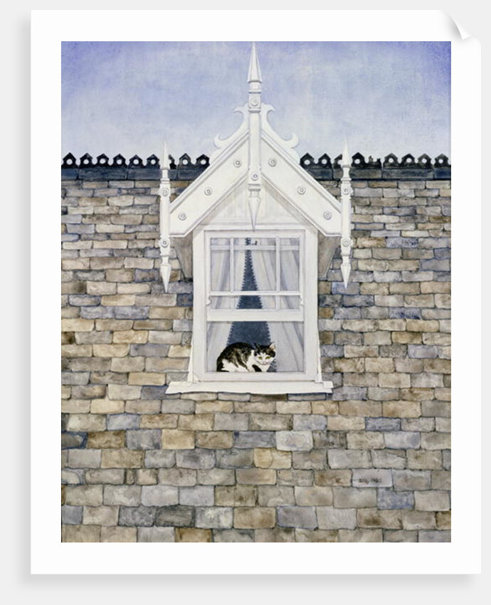 St.Helier Dormer Cat by Ditz Ditz
