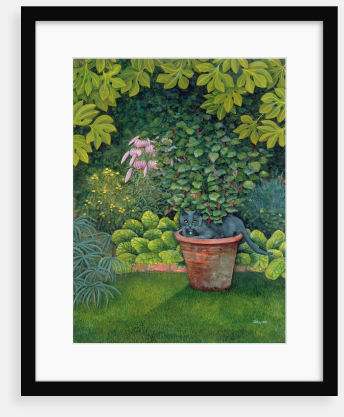 The Flower-Pot Cat by Ditz Ditz
