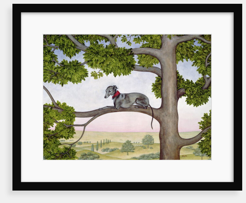 The Tree Whippet by Ditz Ditz