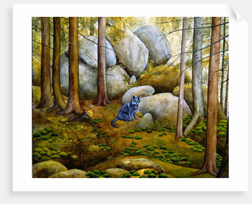 In the Wood by Ditz Ditz