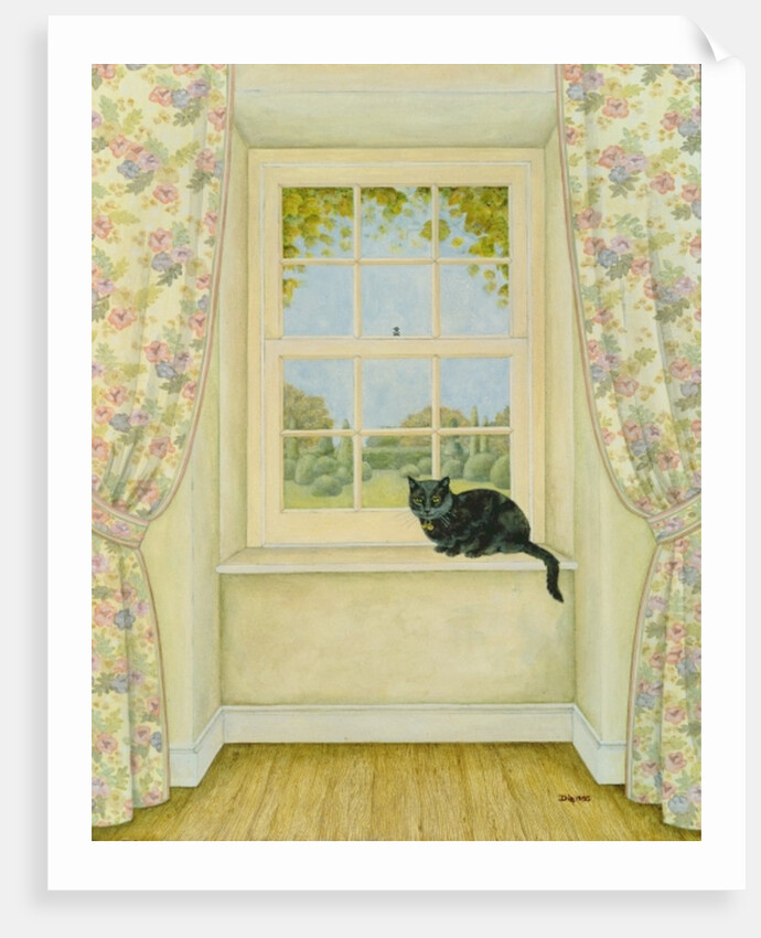 The Window Cat by Ditz Ditz
