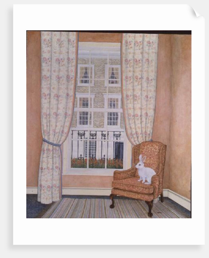 Opposite Windows by Ditz Ditz