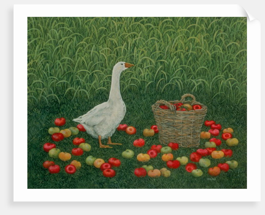 The Apple Basket by Ditz Ditz