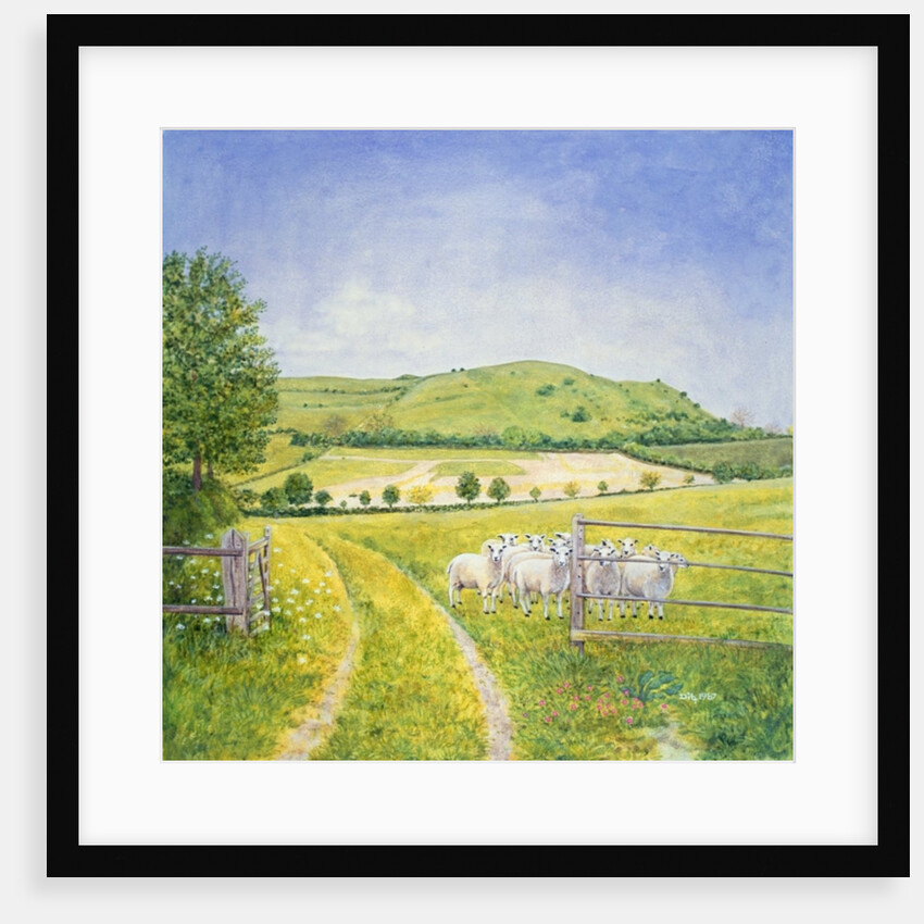 Wessex Sheep by Ditz Ditz