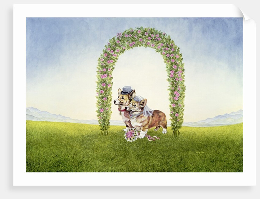 The Royal Wedding by Ditz Ditz