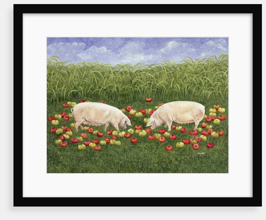 Apple-sows by Ditz Ditz