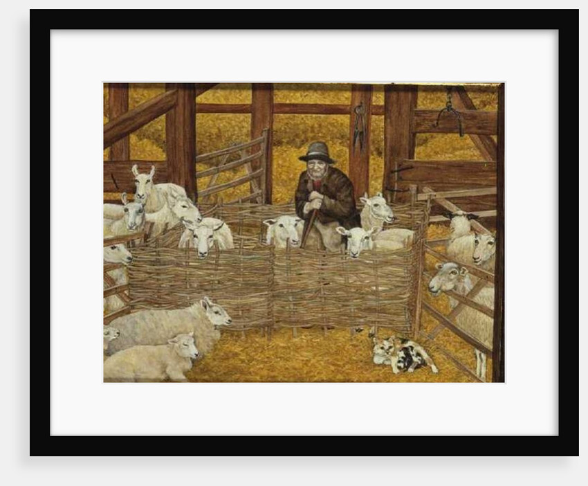 Barn-sheep by Ditz Ditz