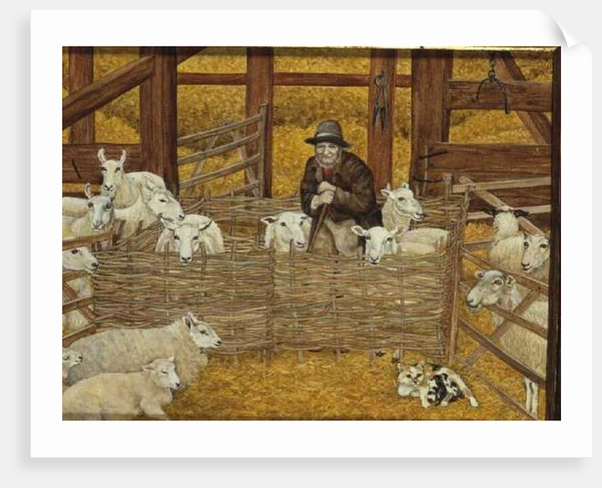 Barn-sheep by Ditz Ditz