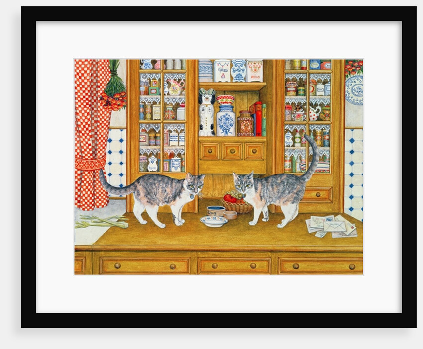 Dresser Cats by Ditz Ditz