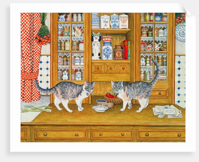 Dresser Cats by Ditz Ditz