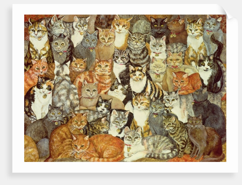 Cat-Spread by Ditz Ditz