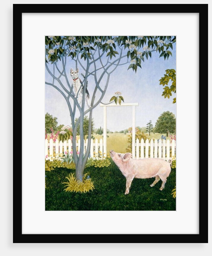 Pig and Cat by Ditz Ditz