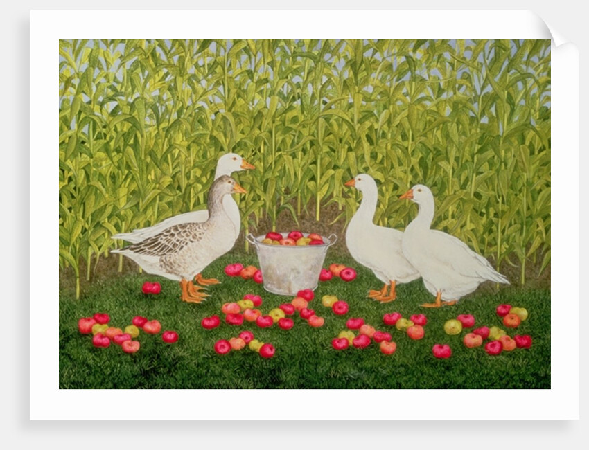 Sweetcorn-Geese by Ditz Ditz