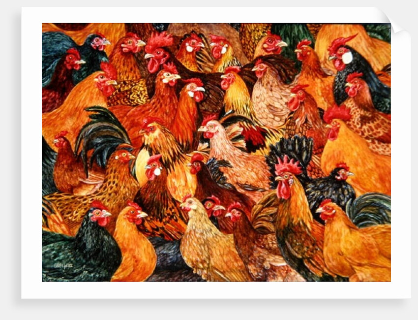 Fine Fowl by Ditz Ditz