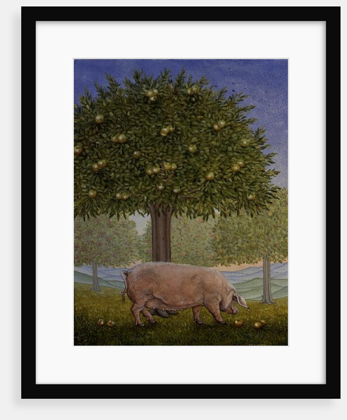 Right Hand Orchard Pig by Ditz Ditz