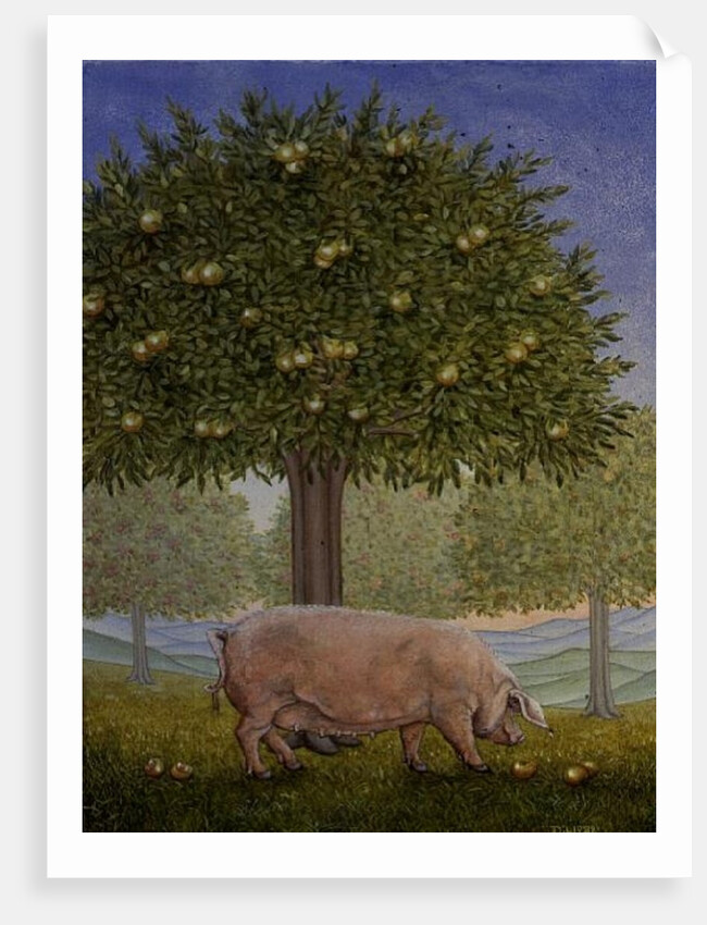 Right Hand Orchard Pig by Ditz Ditz