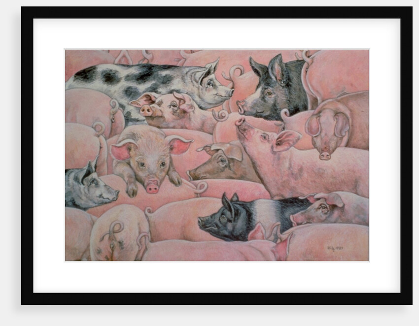 Pig-Spread by Ditz Ditz