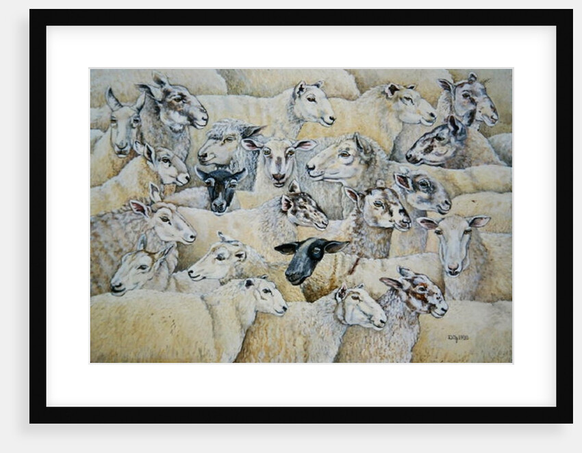 Sheep-Blanket by Ditz Ditz