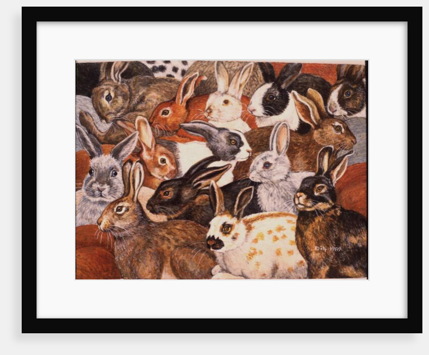 Rabbit-Spread by Ditz Ditz