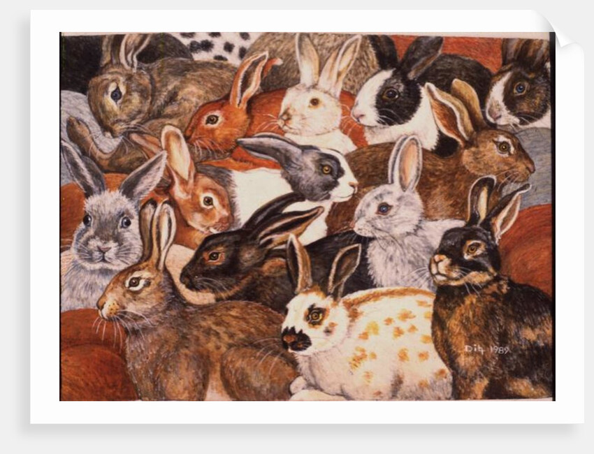 Rabbit-Spread by Ditz Ditz