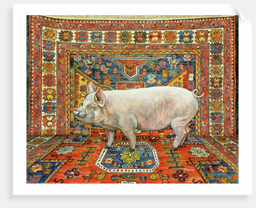 Singleton Carpet Pig by Ditz Ditz