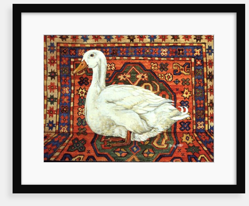 Aylesbury Carpet Drake by Ditz Ditz