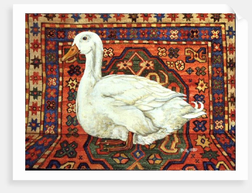 Aylesbury Carpet Drake by Ditz Ditz