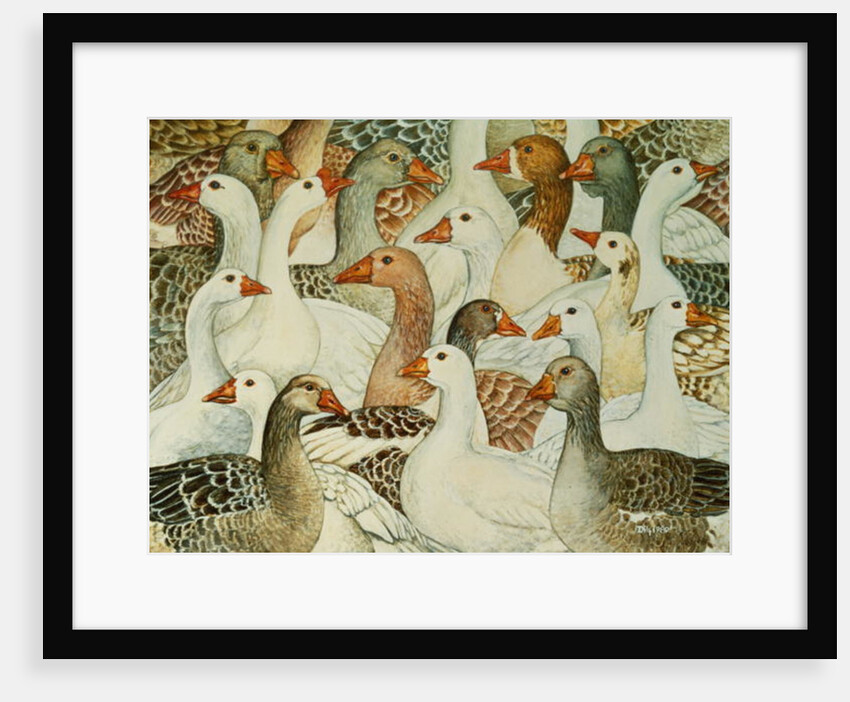 Patchwork Geese by Ditz Ditz