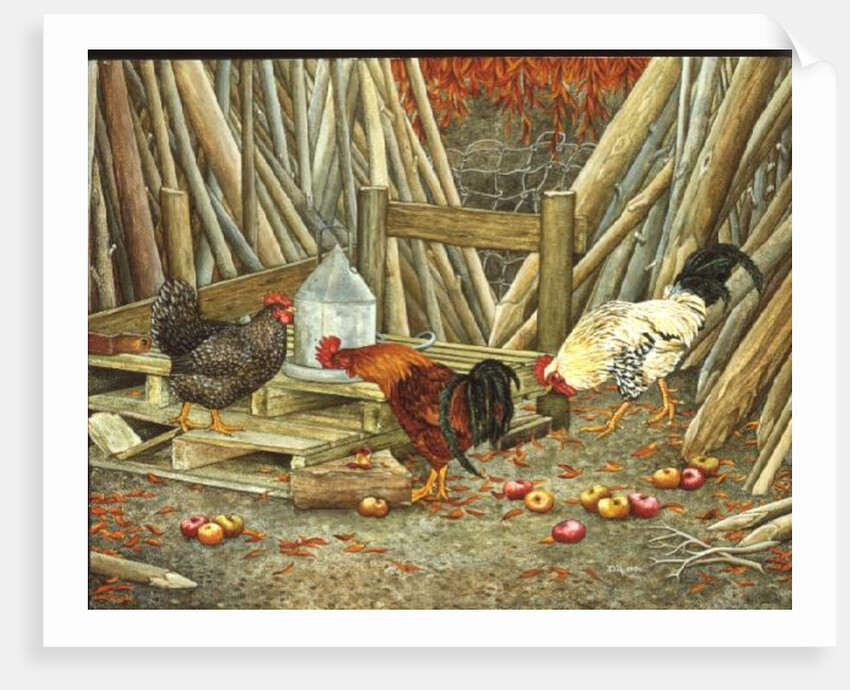 Chicken Feed by Ditz Ditz