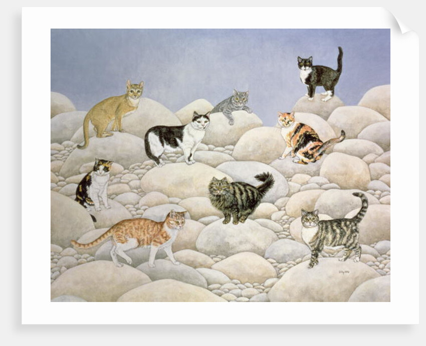 Lynn Valley Cats by Ditz Ditz