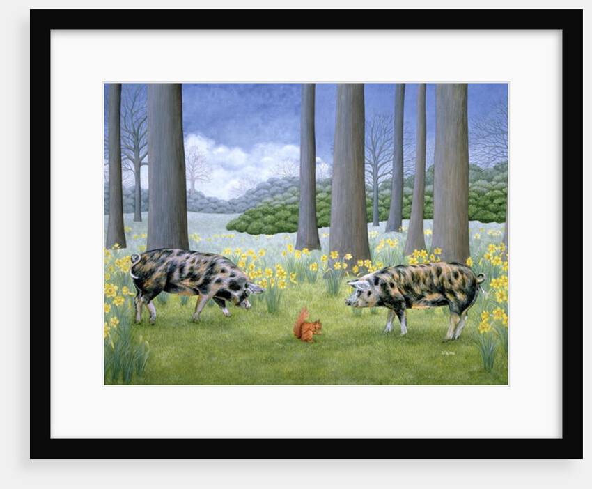 Piggy in the Middle by Ditz Ditz