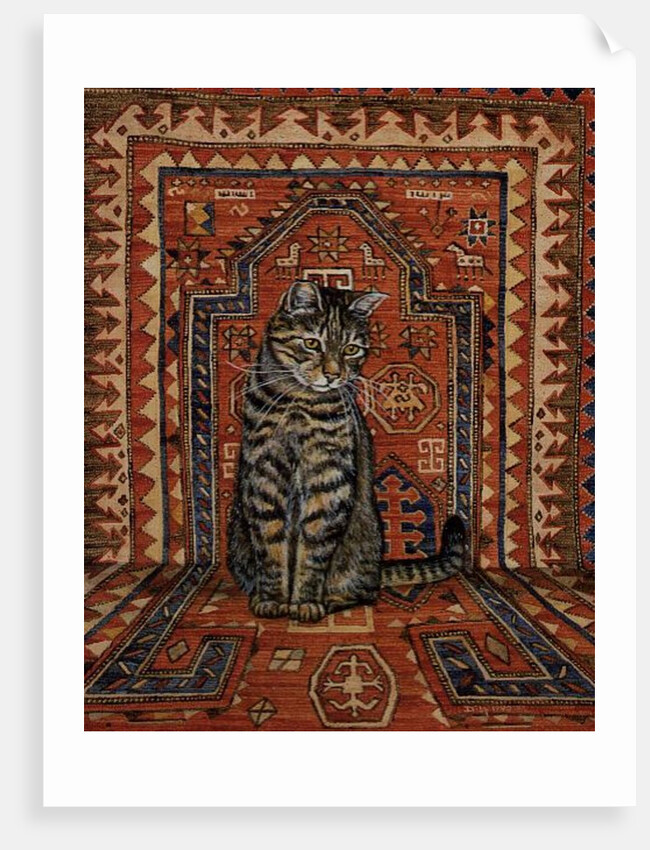The Carpet-Cat by Ditz Ditz
