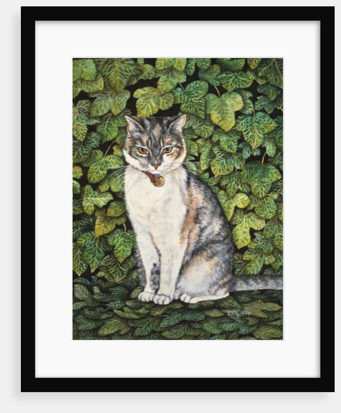Ivy by Ditz Ditz